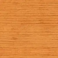 Sonderdekor